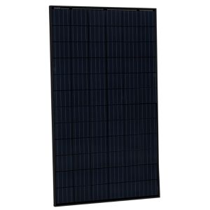 Risen 390 Full Black