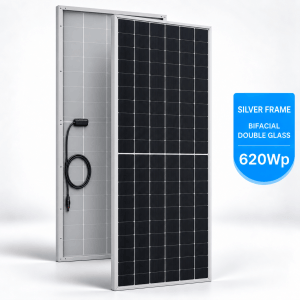 Rosen620wp Silver Bifacial